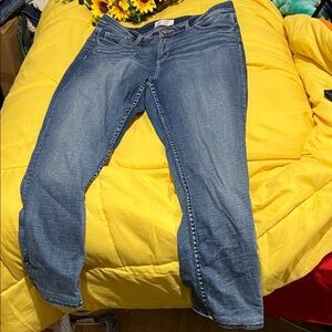 BKE Women's Straight Leg Blue Jeans